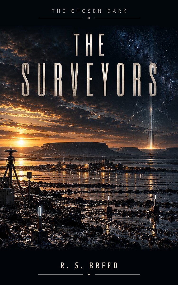Cover of The Surveyors